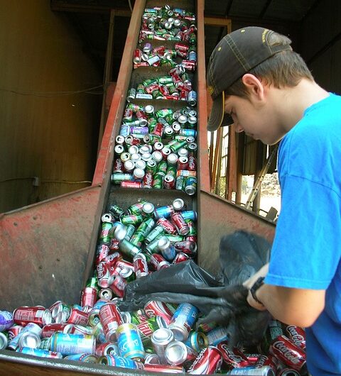 Waste Management Business in RAK