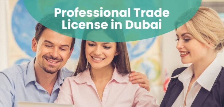 Professional Trade License in Dubai