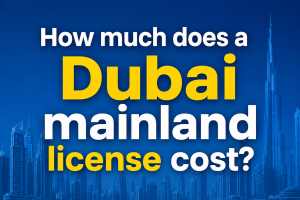Professional License Cost Breakdown in Dubai